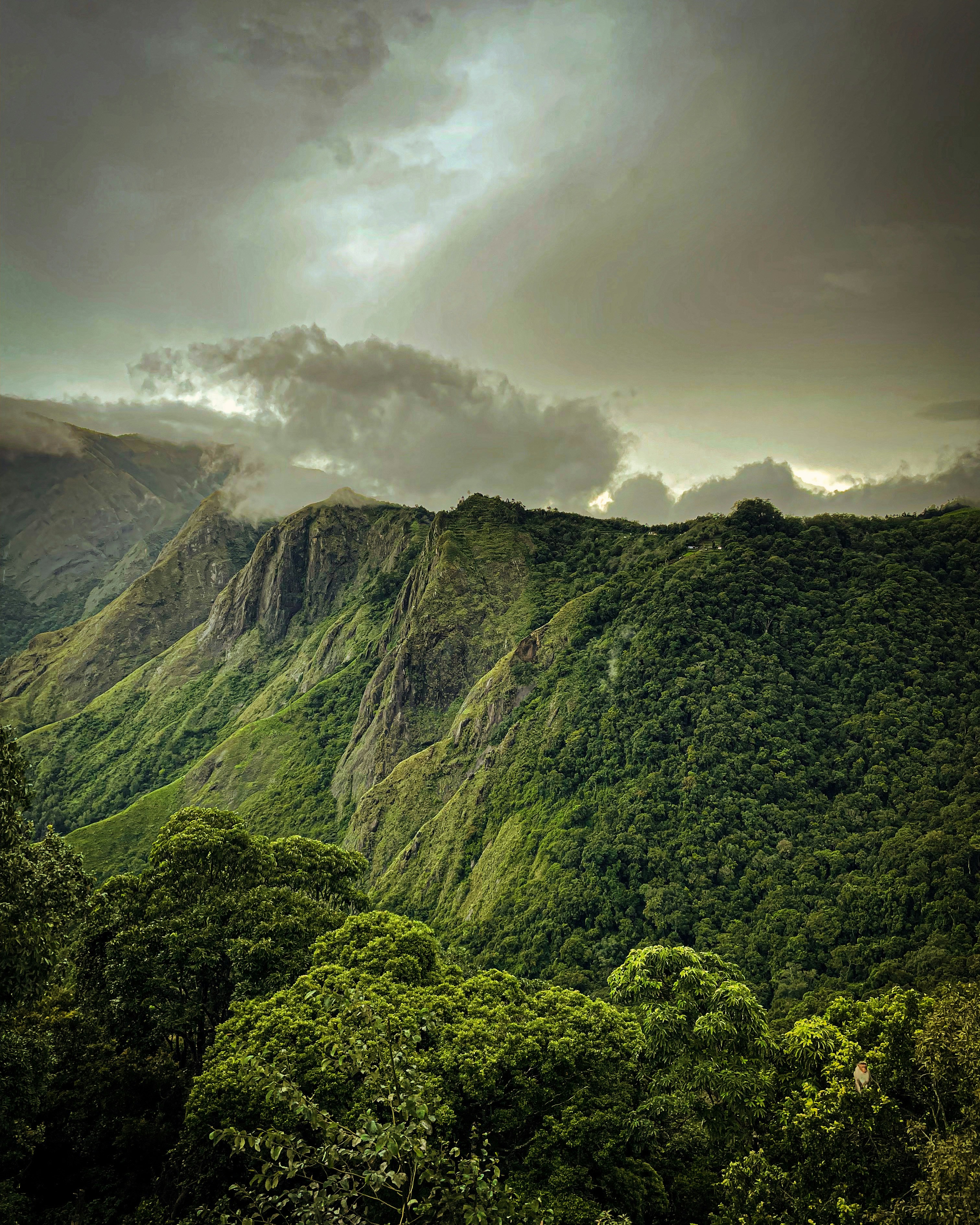 Basera Wayanad